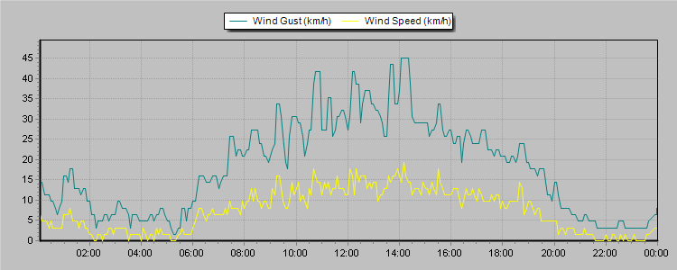 Weather Graphs